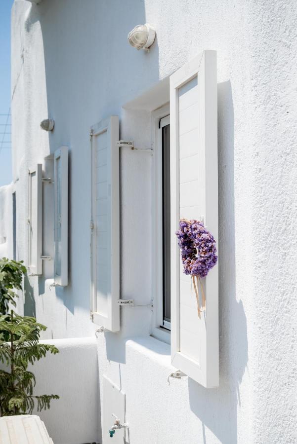 Spilia Apartments & Suites Mykonos Agrari  Bagian luar foto